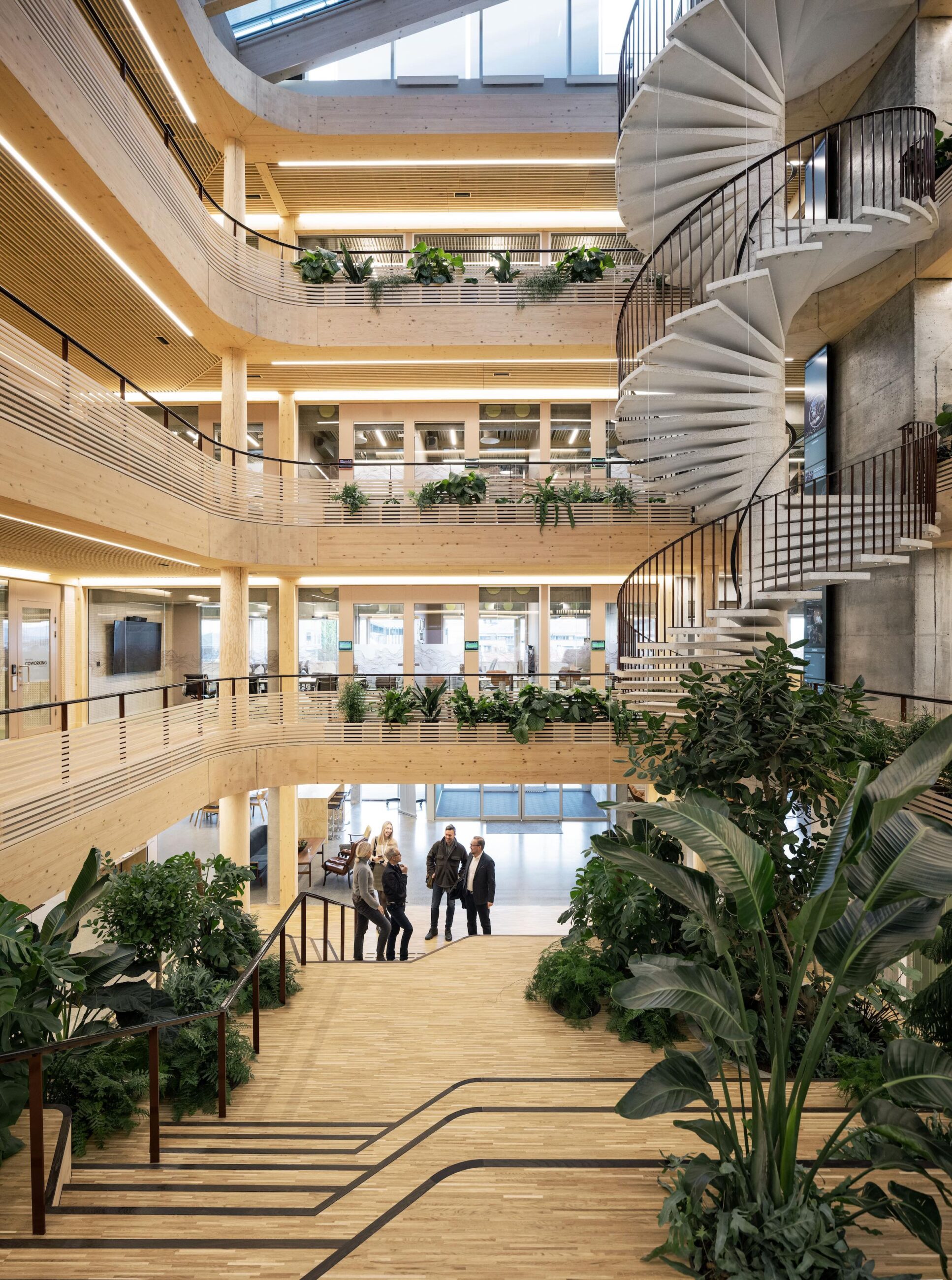 Interior photo of the Innoasis timber office transformation, showing the atrium and re-furbished stair.