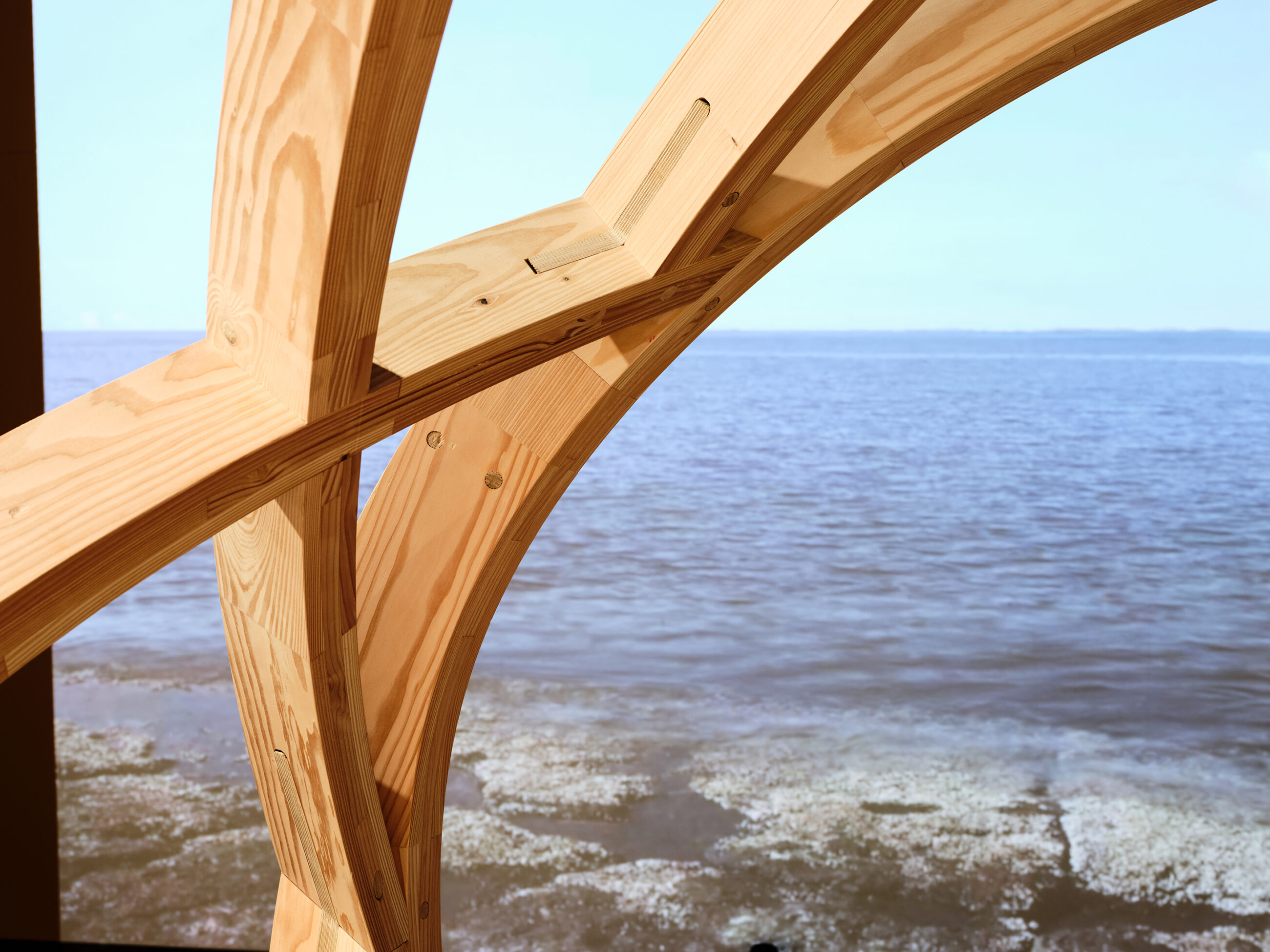 Photo of a detail in the Body and Mind installation in the Danish Architecture Centre for the 